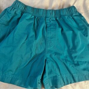 Chubbies Teal Men's Dad Short